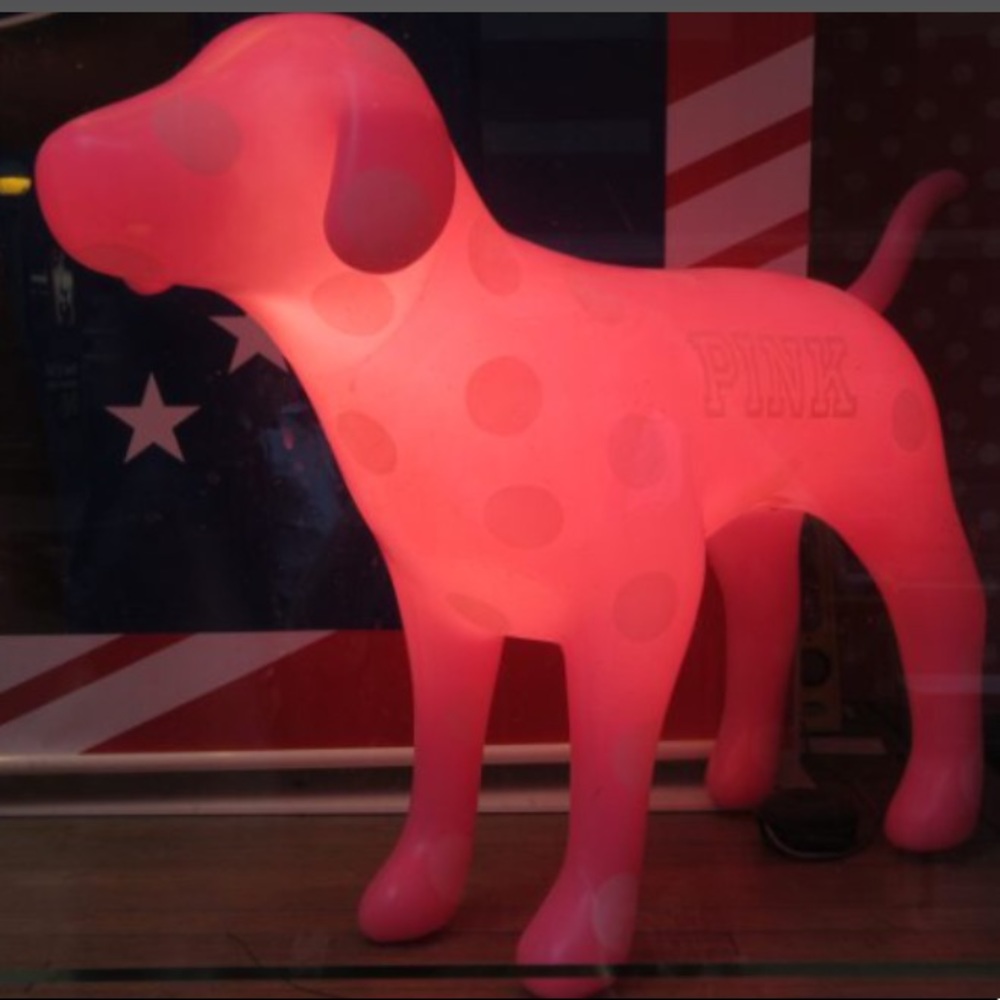 ISO vs pink light up display dog